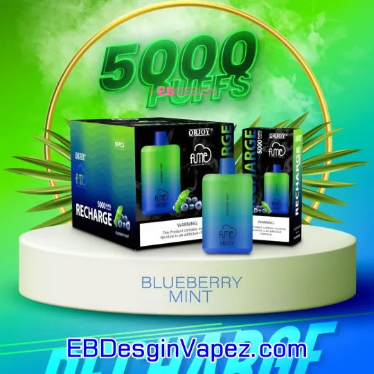 Blueberry Mint Fume Recharge